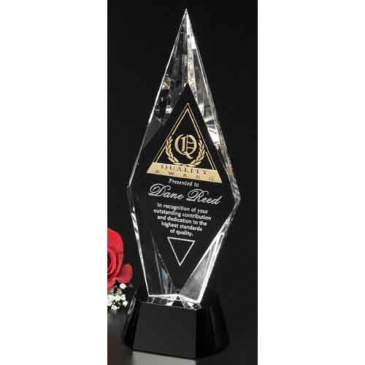 Chaska Award 11"