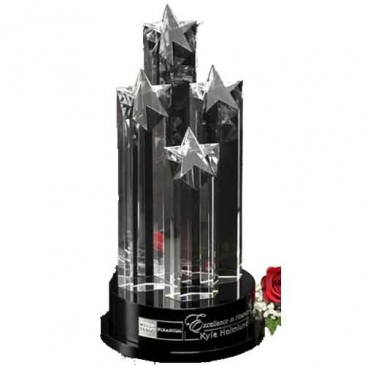 Constellation Award 14"