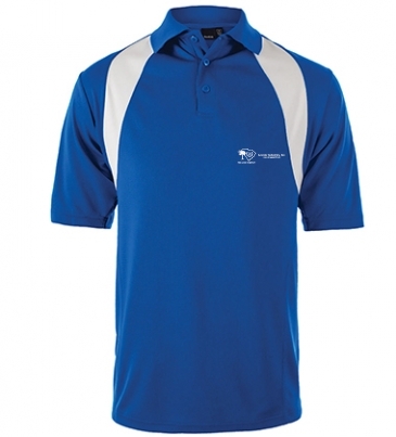 Reebok Athletic Polo