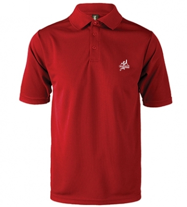 Team Polo