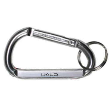 Medium Size Carabiner Keyholder with Split Ring Attachment