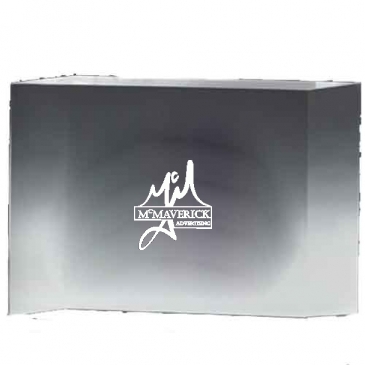 4” Thick Freestanding Acrylic Awards - 4"