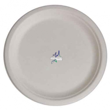 10" Eco-Friendly Plates - The 500 Line