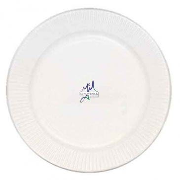9" White Paper Plate - The High Lines