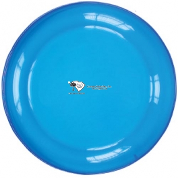 9-1/4"  Flyer