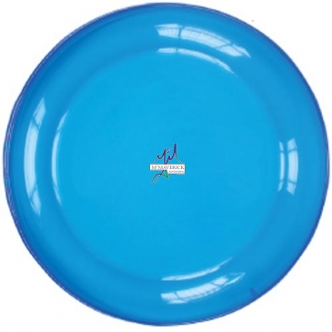 9-1/4"  Flyer