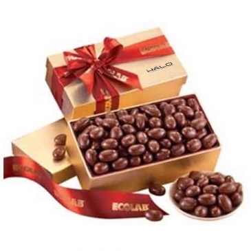 Chocolate Covered Almonds