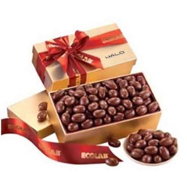 Chocolate Covered Almonds