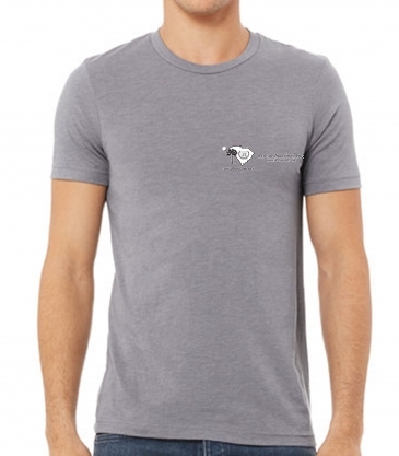 Bella + Canvas Unisex Triblend T-Shirt