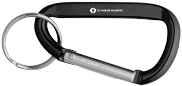 Small Carabiner Key Ring