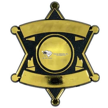 6 Point Star Badge