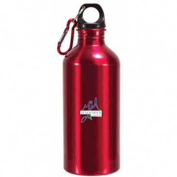22 oz. Aluminum Trek II Bottle