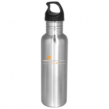 Streamline Stainless 26 oz. Bottle