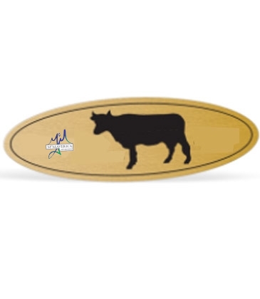Idento® Identification Decals-Chrome & White Vinyl
