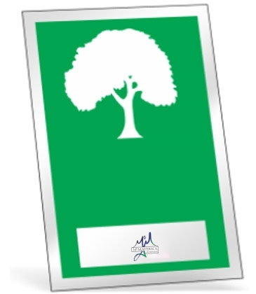 Inside Parking Permits-Clear Static Cling-Not Numbered