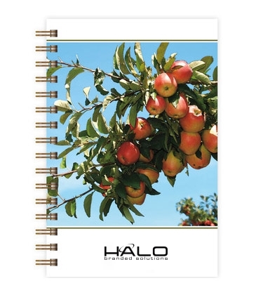 ImageBook SeminarPad