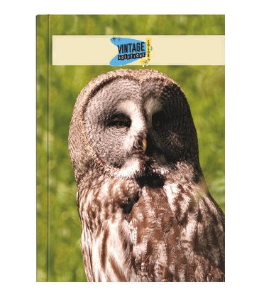 Medium ImageFlex Weekly