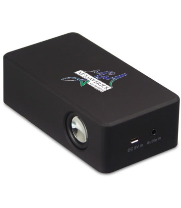 Induction Speaker