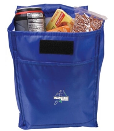 Budget Lunch Cooler