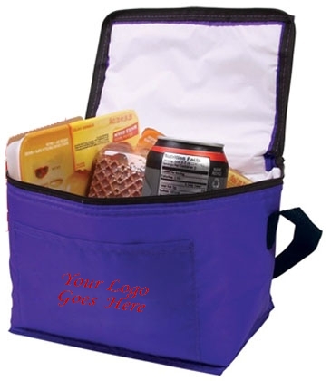 Budget 6-Pack Cooler