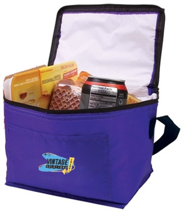 Budget 6-Pack Cooler