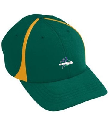 Youth Flexfit Zone Cap