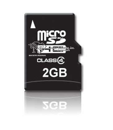 Micro Secure Digital Card