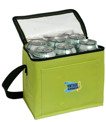 6-Pack Insulated Cooler