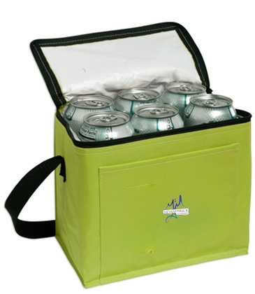 6-Pack Insulated Cooler