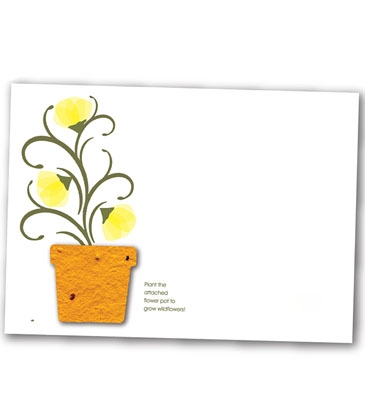 Value Shape Postcard