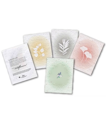 3 Card Plantable Seed Cards Set