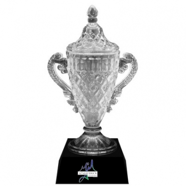 Small Wingfoot Trophy Cup (11 1/4")