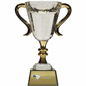 Large Gold Muirfield Cup (10 1/2")