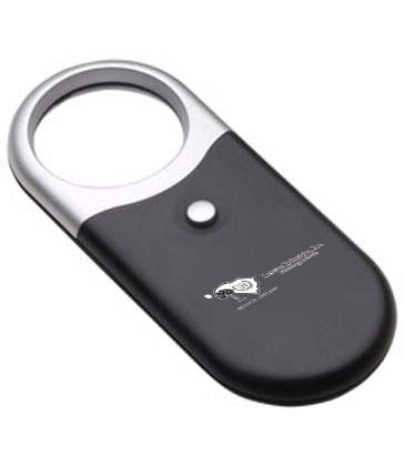 Compact Magnifier Light