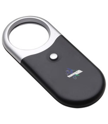 Compact Magnifier Light