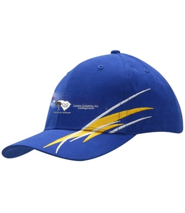 Brushed Heavy Cotton with Strike Embroidery on Crown & Peak