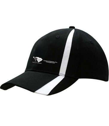 Brushed Heavy Cotton with Fabric Inserts on Crown & Peak