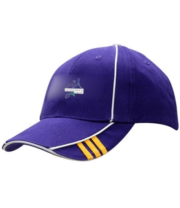 Brushed Heavy Cotton with Crown/Peak Piping & Embroidery