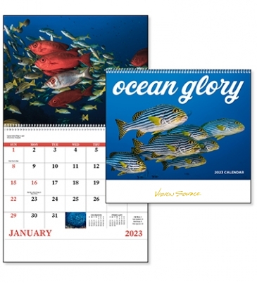 Ocean Glory - Spiral