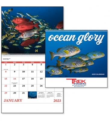 Ocean Glory - Spiral