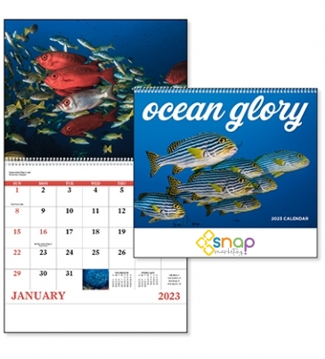 Ocean Glory - Spiral