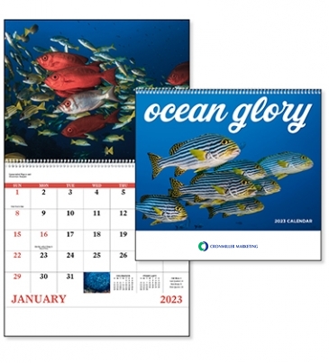 Ocean Glory - Spiral