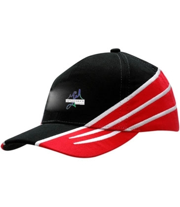 Brushed Heavy Cotton with Fabric Inserts/Embroidery