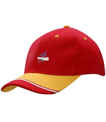 Brushed Heavy Cotton with Fabric Insert & Embroidery