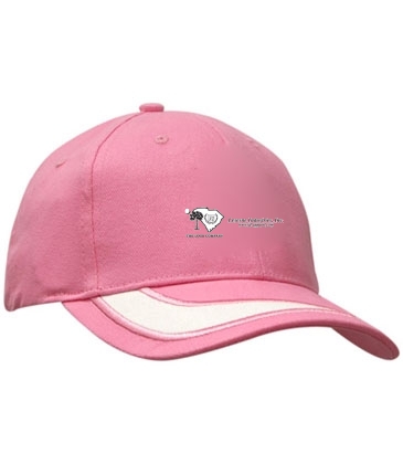 Brushed Heavy Cotton with Peak Insert & Embroidery