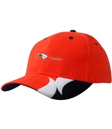 Brushed Heavy Cotton with Peak Trim & Embroidery