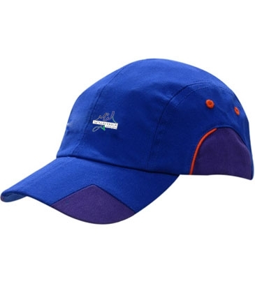 Brushed Heavy Cotton with Fabric Inserts/Piping