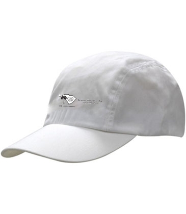 Brushed Regular Cotton & Spandex