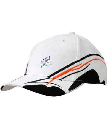 Brushed Heavy Cotton with Fabirc Inserts/Embroidery