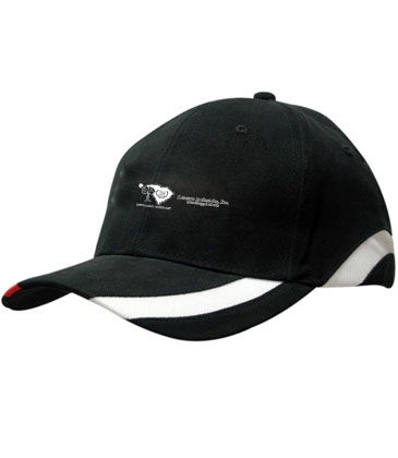 Brushed Heavy Cotton with Peak & Crown Mesh Inserts